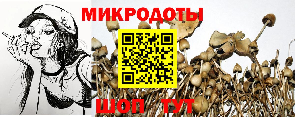 Псилоцибиновые грибы MAGIC MUSHROOMS Красноармейск