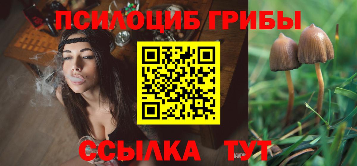 Красноармейск  где продают   Вход с VPN  Галлюциногенные грибы Cubensis 